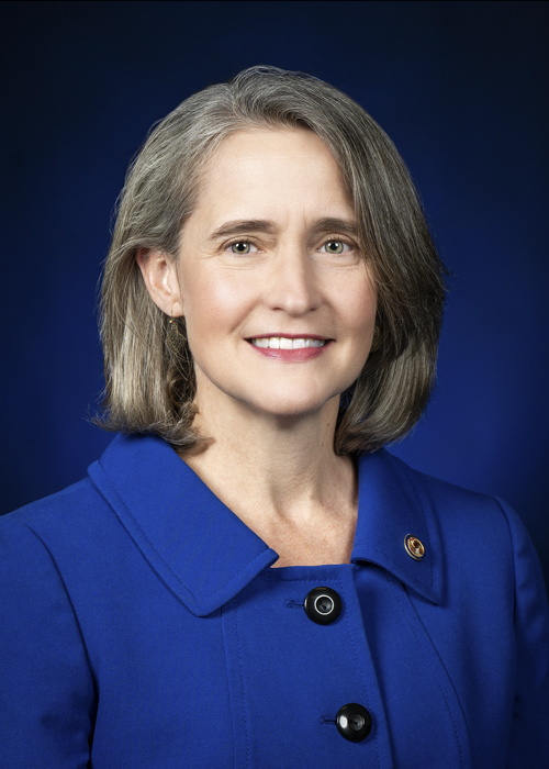 Photograph of Representative  Michelle Mussman (D)